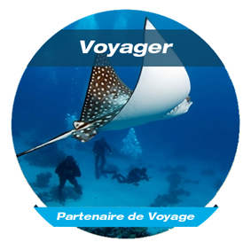 Voyages